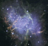 M1