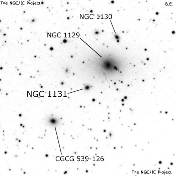 Negativní snímek oblohy NGC 1131