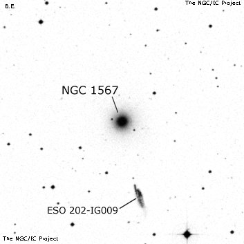 Negativní snímek oblohy NGC 1567