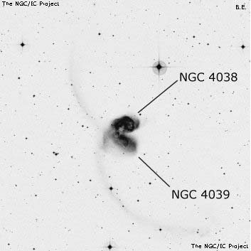 Negativní snímek oblohy NGC 4038