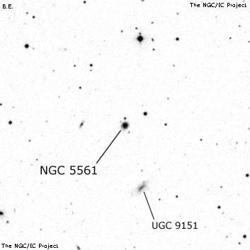 Negativní snímek oblohy NGC 5561