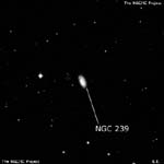 NGC 239