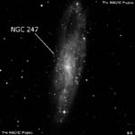 NGC 247