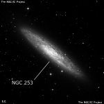 NGC 253