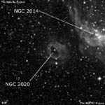 NGC 2020
