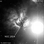 NGC 2024