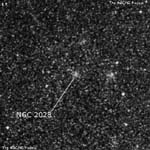 NGC 2028