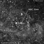 NGC 2044