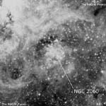 NGC 2060