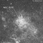 NGC 2070