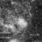 NGC 2080