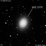 NGC 2775