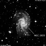 NGC 2835