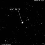 NGC 2877