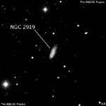 NGC 2919