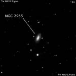 NGC 2955
