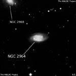 NGC 2964