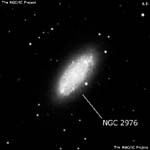 NGC 2976
