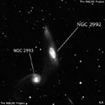NGC 2992