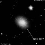 NGC 3077