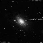 NGC 3169