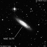 NGC 3175