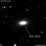 NGC 3613