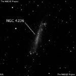 NGC 4236