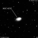 NGC 4237