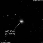 NGC 4561