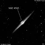 NGC 4565