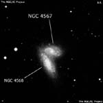 NGC 4567