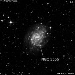 NGC 5556