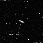 NGC 5559