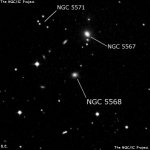NGC 5568