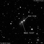 NGC 7237