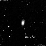 NGC 7750