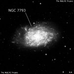 NGC 7793