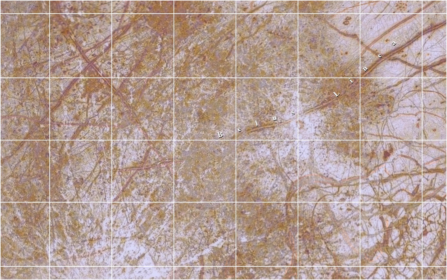 Mapa Europy - čtyřúhelník 9